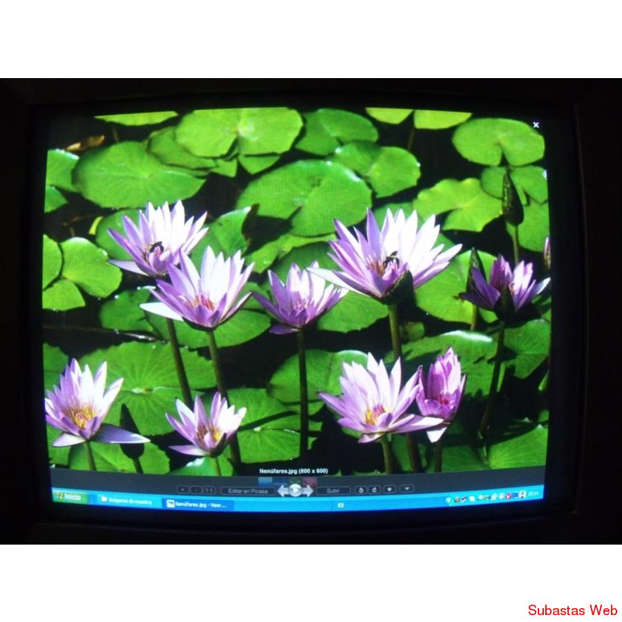 Monitor Dell De 17 Pulgadas Crt Color E773c Negros
